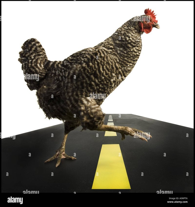 Descubre el Juego de Azar que Ha Conquistado los Corazones de España: Chicken Descubre el Juego de Azar que Ha Conquistado los Corazones de España: Chicken